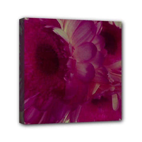 Pink Highlighted Flowers Mini Canvas 6  X 6  (stretched)