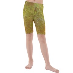 Lake Reflection Kids  Mid Length Swim Shorts by okhismakingart