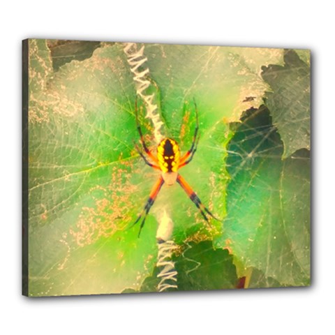 Orb Spider Canvas 24  X 20  (stretched) by okhismakingart