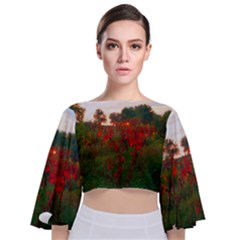 Red Weeds Tie Back Butterfly Sleeve Chiffon Top by okhismakingart