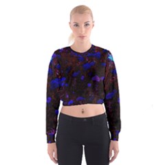 Red-edged Blue Sedum Cropped Sweatshirt by okhismakingart