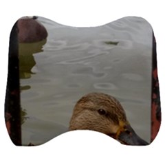 Framed Ducks Velour Head Support Cushion by okhismakingart