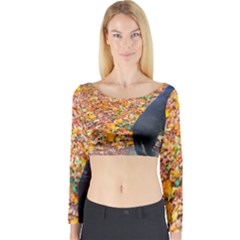 Luna Standing Long Sleeve Crop Top by okhismakingart