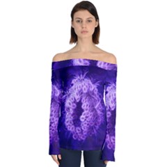 Dark Purple Closing Queen Annes Lace Off Shoulder Long Sleeve Top by okhismakingart