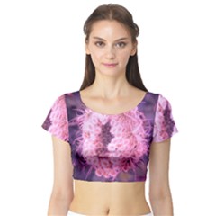 Pink Closing Queen Annes Lace Short Sleeve Crop Top by okhismakingart