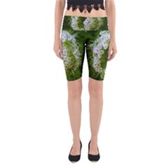 Green Closing Queen Annes Lace Yoga Cropped Leggings by okhismakingart