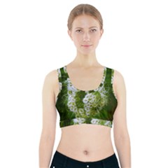 Green Closing Queen Annes Lace Sports Bra With Pocket by okhismakingart