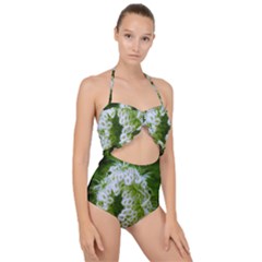 Green Closing Queen Annes Lace Scallop Top Cut Out Swimsuit by okhismakingart