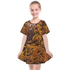 Goldenrod Version Ii Kids  Smock Dress by okhismakingart