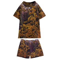 Goldenrod Version Ii Kids  Swim Tee And Shorts Set by okhismakingart