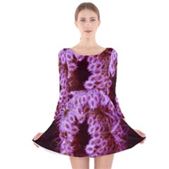 Purple Closing Queen Annes Lace Long Sleeve Velvet Skater Dress