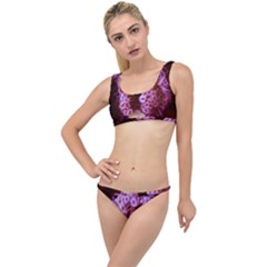 Purple Closing Queen Annes Lace The Little Details Bikini Set by okhismakingart