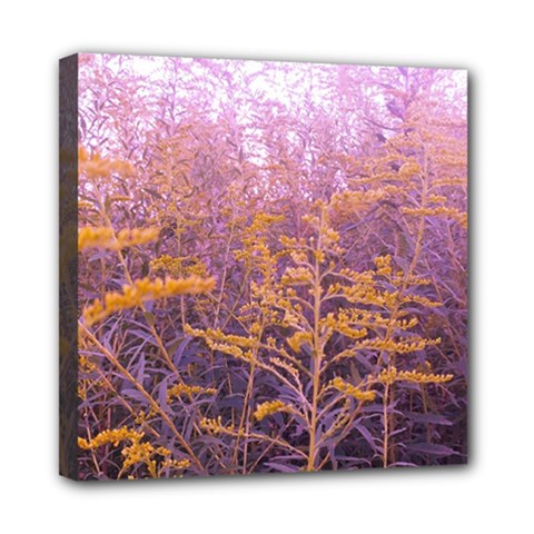 Pink Goldenrod Mini Canvas 8  X 8  (stretched) by okhismakingart