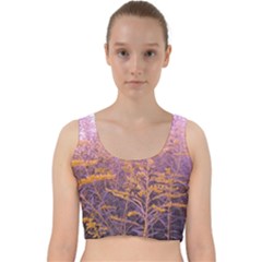 Pink Goldenrod Velvet Racer Back Crop Top by okhismakingart