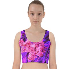 Pink And Blue Sideways Sumac Velvet Racer Back Crop Top by okhismakingart