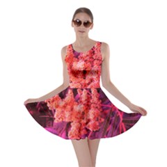 Pink Sideways Sumac Skater Dress by okhismakingart