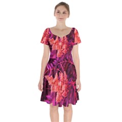 Pink Sideways Sumac Short Sleeve Bardot Dress by okhismakingart