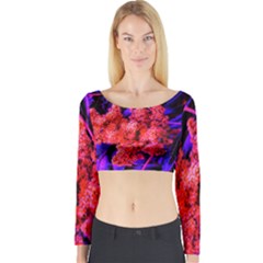 Red And Blue Sideways Sumac Long Sleeve Crop Top by okhismakingart