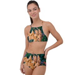 Green And Gold Sideways Sumac High Waist Tankini Set by okhismakingart