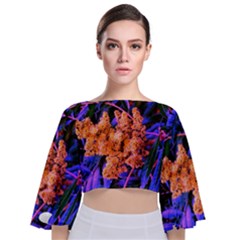 Blue And Gold Sideways Sumac Tie Back Butterfly Sleeve Chiffon Top