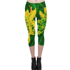 Yellow Sumac Bloom Capri Leggings 