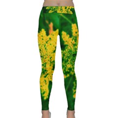 Yellow Sumac Bloom Classic Yoga Leggings