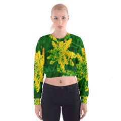 Yellow Sumac Bloom Cropped Sweatshirt