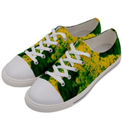 Yellow Sumac Bloom Women s Low Top Canvas Sneakers by okhismakingart
