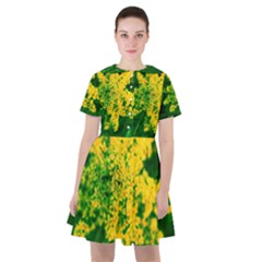 Yellow Sumac Bloom Sailor Dress