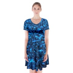 Blue Queen Anne s Lace Hillside Short Sleeve V-neck Flare Dress by okhismakingart
