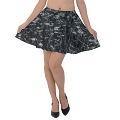 Black And White Queen Anne s Lace Hillside Velvet Skater Skirt by okhismakingart