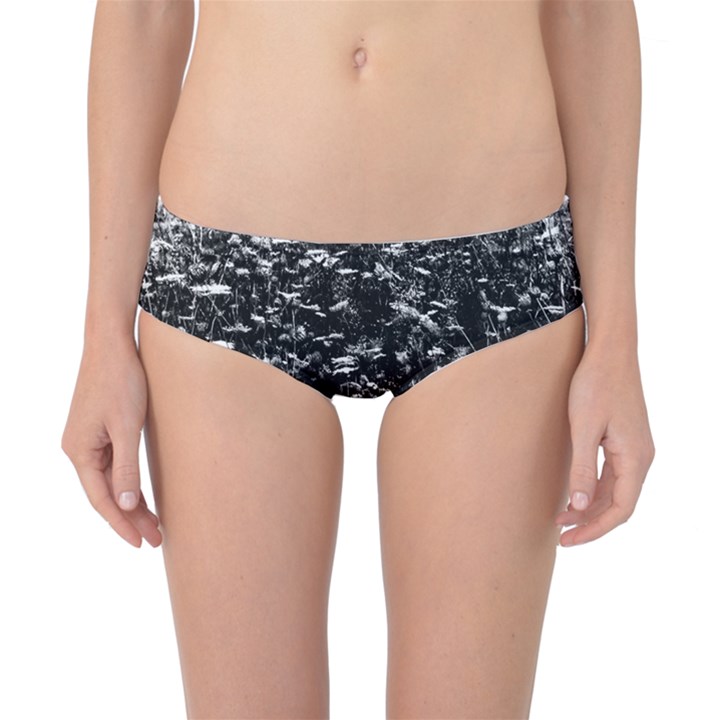 High Contrast Black and White Queen Anne s Lace Hillside Classic Bikini Bottoms