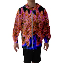 Yellow, Pink, And Blue Sumac Bloom Kids  Hooded Windbreaker by okhismakingart