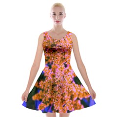 Yellow, Pink, And Blue Sumac Bloom Velvet Skater Dress by okhismakingart