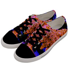 Yellow, Pink, And Blue Sumac Bloom Men s Low Top Canvas Sneakers by okhismakingart