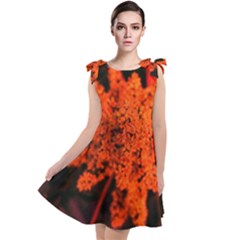Orange Sumac Bloom Tie Up Tunic Dress by okhismakingart