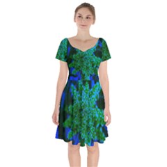 Blue And Green Sumac Bloom Short Sleeve Bardot Dress by okhismakingart