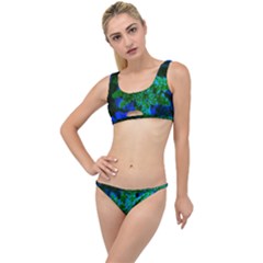 Blue And Green Sumac Bloom The Little Details Bikini Set by okhismakingart