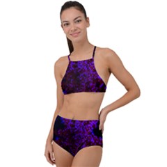 Maroon And Blue Sumac Bloom High Waist Tankini Set by okhismakingart