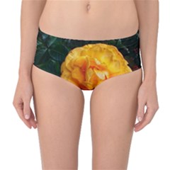 Yellow Rose Mid-Waist Bikini Bottoms