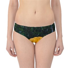 Yellow Rose Hipster Bikini Bottoms