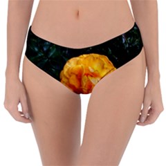 Yellow Rose Reversible Classic Bikini Bottoms