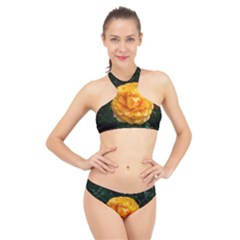 Yellow Rose High Neck Bikini Set