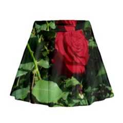 Deep Red Rose Mini Flare Skirt by okhismakingart