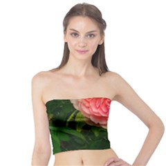 Complex Pink Rose Tube Top by okhismakingart