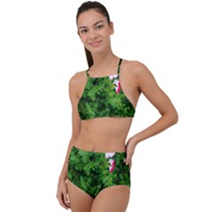 Red And White Park Flowers High Waist Tankini Set