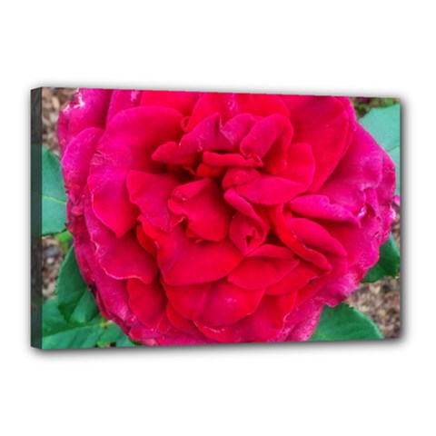 Folded Red Rose Canvas 18  X 12  (stretched) by okhismakingart