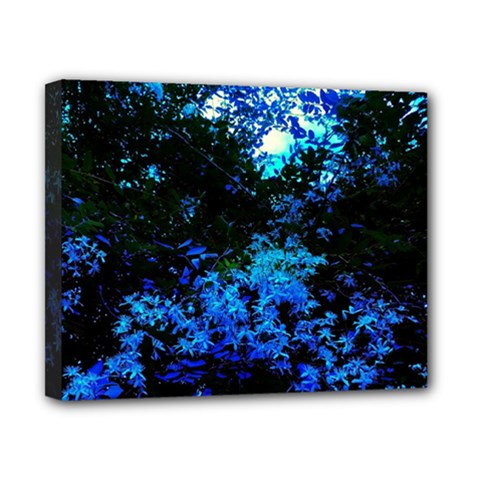 Cascade Of Flowers Canvas 10  X 8  (stretched)