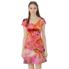 Folded Pink and Orange Rose Short Sleeve Skater Dress