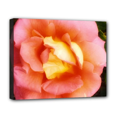 Light Orange And Pink Rose Deluxe Canvas 20  X 16  (stretched) by okhismakingart